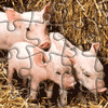 3 Piglets Jigsaw, free animal jigsaw in flash on FlashGames.BambouSoft.com