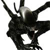 Aliens Vs Predator, free action game in flash on FlashGames.BambouSoft.com