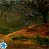 Autumn Forest Jigsaw Puzzle, free jigsaw puzzle in flash on FlashGames.BambouSoft.com