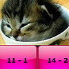 Baby cats subtraction puzzle, free educational game in flash on FlashGames.BambouSoft.com