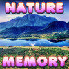 Brain Memory: Nature, free memory game in flash on FlashGames.BambouSoft.com