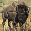 Buffalo Jigsaw, free animal jigsaw in flash on FlashGames.BambouSoft.com