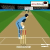 Cricket-Master Blaster, free sports game in flash on FlashGames.BambouSoft.com