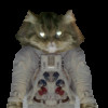Deep Space Pussy, free space game in flash on FlashGames.BambouSoft.com