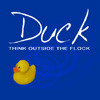 Puzzle game Duck, Think Outside The Flock