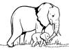 Elephants -2, jeu de coloriage gratuit en flash sur BambouSoft.com