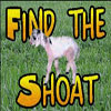 Find the Shoat v1.1, jeu d'objets cachs gratuit en flash sur BambouSoft.com