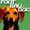 FootballDog, free soccer game in flash on FlashGames.BambouSoft.com