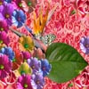 Four Seasons: Spring, free flowers jigsaw in flash on FlashGames.BambouSoft.com