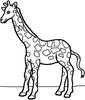 Giraffes -1, jeu de coloriage gratuit en flash sur BambouSoft.com