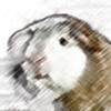 Guinea piggy memory game, jeu de mémoire gratuit en flash sur BambouSoft.com