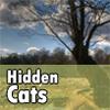 Hidden Cats, free hidden objects game in flash on FlashGames.BambouSoft.com