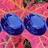 Hidden Gemstones: Autumn Leaves, jeu d'objets cachés gratuit en flash sur BambouSoft.com