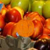 Jeu objets cachs Hidden Pumpkins Market