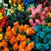 Puzzle fleurs Puzzle Tulipes d'Amsterdam
