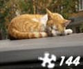 Jigsaw Sleepy Cat, puzzle animal gratuit en flash sur BambouSoft.com