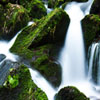 Jigsaw: Stream And Moss, free jigsaw puzzle in flash on FlashGames.BambouSoft.com