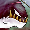 Killer Whale, free adventure game in flash on FlashGames.BambouSoft.com
