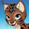 Kitten Maker, free kids game in flash on FlashGames.BambouSoft.com