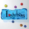 Logic game Ladybug