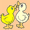 Lovely chicks coloring, free colouring game in flash on FlashGames.BambouSoft.com