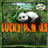 Lucky Pandas, free casino game in flash on FlashGames.BambouSoft.com