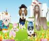 Dress up game Pets In The City