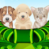 Puppy and Kitten Caring Game, free management game in flash on FlashGames.BambouSoft.com
