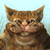 River Cat, jeu d'action gratuit en flash sur BambouSoft.com