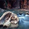 River, free jigsaw puzzle in flash on FlashGames.BambouSoft.com
