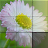Sliding Puzzle: Flowers, free sliding puzzle game in flash on FlashGames.BambouSoft.com