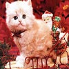 Small christmas cat puzzle, free animal jigsaw in flash on FlashGames.BambouSoft.com