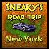 Hidden objects game Sneaky's Road Trip - New York