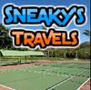 Sneaky's Travels, free hidden objects game in flash on FlashGames.BambouSoft.com