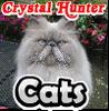 SSSG - Cats, free hidden objects game in flash on FlashGames.BambouSoft.com