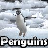 Jeu objets cachés SSSG - Penguins