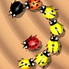 Tailtag, free action game in flash on FlashGames.BambouSoft.com