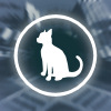 Time4Cat, free skill game in flash on FlashGames.BambouSoft.com